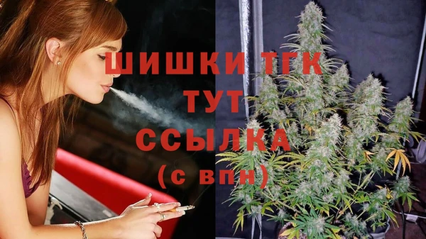 шишки Переславль-Залесский