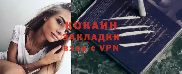 молекула духа Осташков