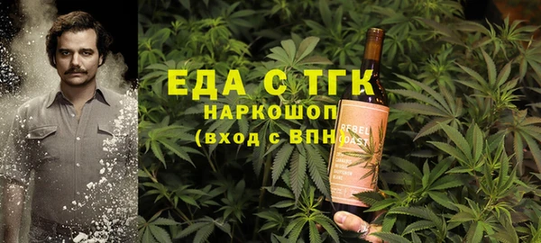 дмт Осинники
