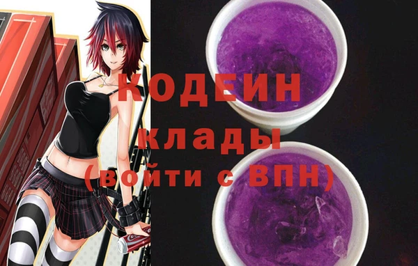 молекула духа Осташков