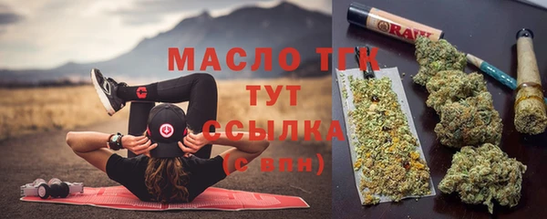 дмт Осинники