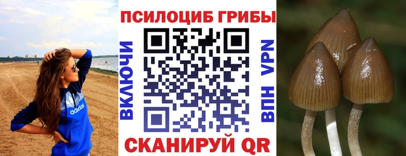 Псилоцибиновые грибы MAGIC MUSHROOMS  Полесск 